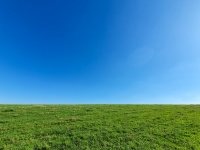 Grünes Gras und blauer Himmel