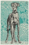 Windhund durch Moriz Jung 1912