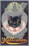 Halloween boszorkányóra fekete macska