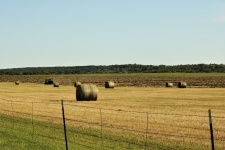 Hay Field Being Baled