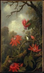 Kolibri und Passionsblumen