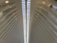 Inside Oculus au World Trade Center