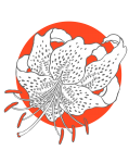 Lirio Flor Naranja Logotipo