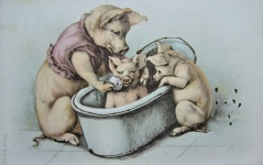 Banho Mama Pig e Leitões