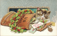 Veselé Vánoce kočka v poště