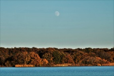 Moon Over Tree Lined Lake in Fall