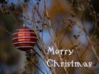 Natural Ornament Christmas Background