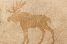 Paper Moose