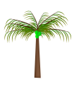 Palmeira de coco com cacho de coco