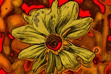 Picasso sunflower