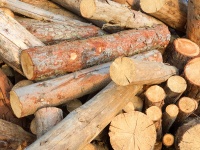 Pila de troncos