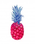 Clipart colorato di ananas