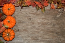 Pumpkins and Leaves Background 2