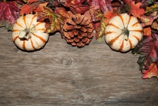 Pumpkins And Leaves Background 3