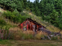 Red Wooden Shed