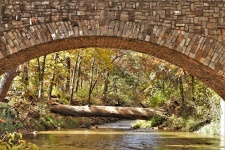 Ponte de pedra e árvore caída no outono