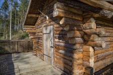 Rustic camp cabin