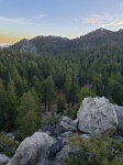 San Jacinto Mountain Forest