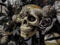 Skull Art Display