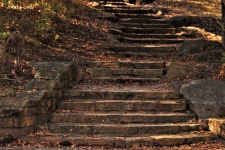 Stone Stairway in the Woods