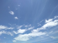 Cielo estivo blu sullo sfondo