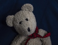 Teddy Bear Leaning Over
