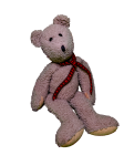 Teddybär-Porträt