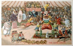 El circo de los gatos 1904