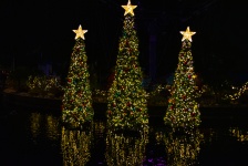 Tres árboles de navidad
