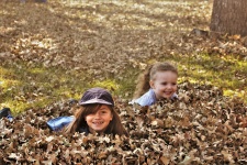 Twee kleine meisjes spelen in bladeren