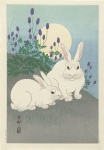 Zwei weiße Kaninchen bei Vollmond