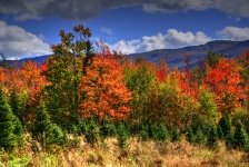 Couleur d'automne du Vermont