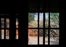 View of garden & abstract window