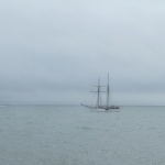 Segelbåt i dimman