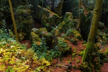 Leśne klify skały krajobraz