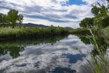 Wetlands Landscape Reflection