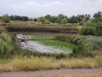 Zonas Húmidas do Colorado