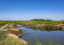 Wetlands Water