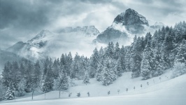 冬の風景