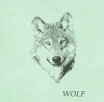 Wolf-Zeichnung
