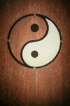 Yin yang symbool