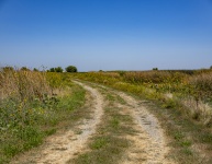 Yolo Wetland Roads