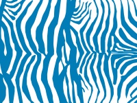 Zebra Stripes Blue