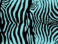 Zebra Stripes Teal Black