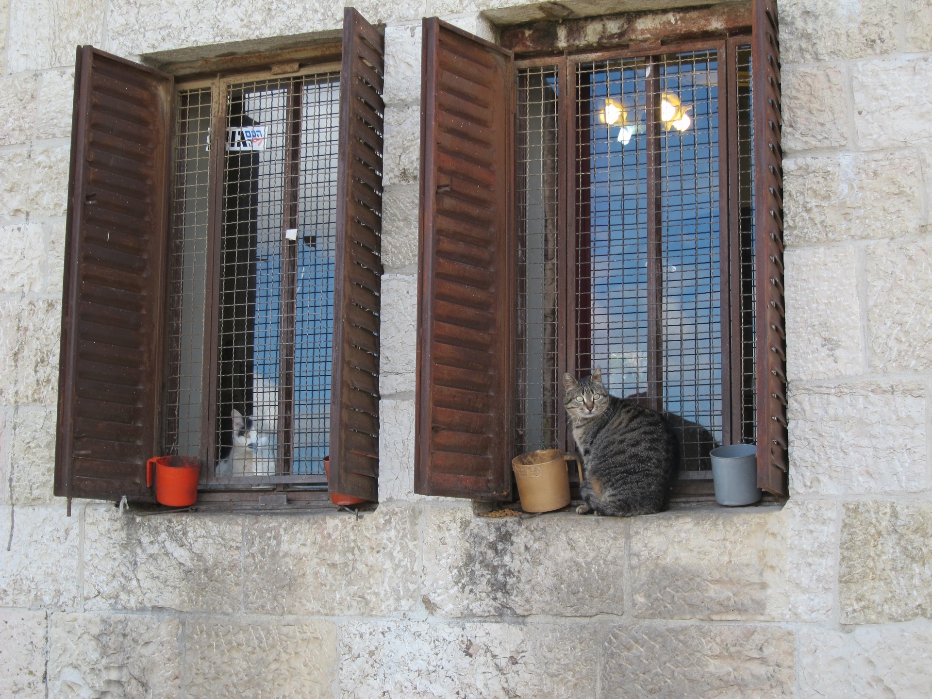 Okno, zeď, kočka
