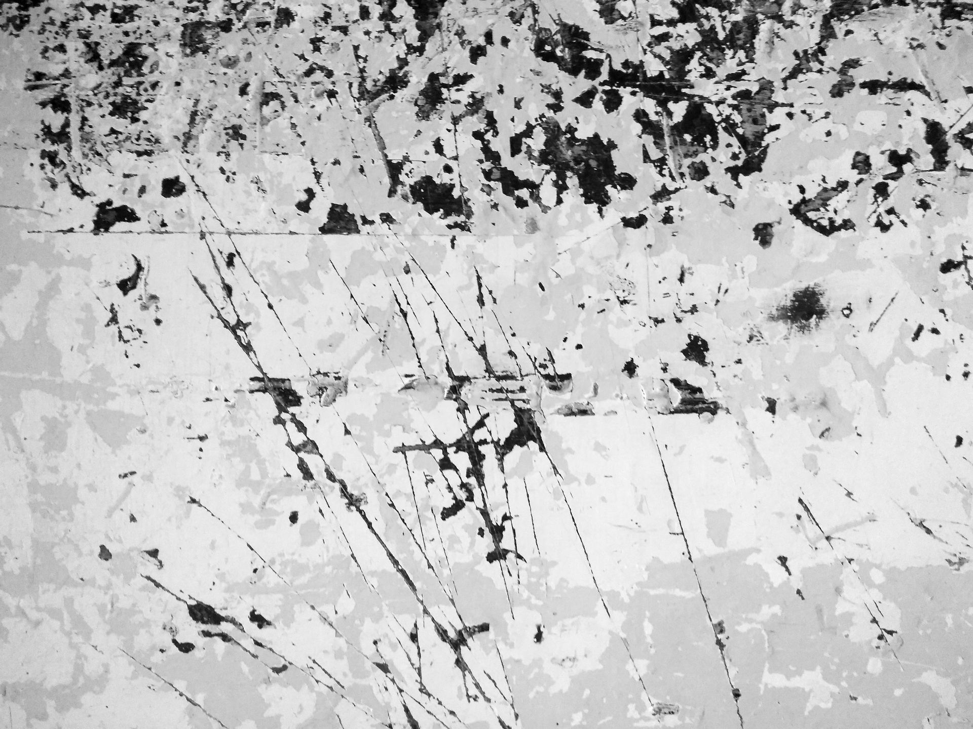 Abstrakt trä textur svartvitt