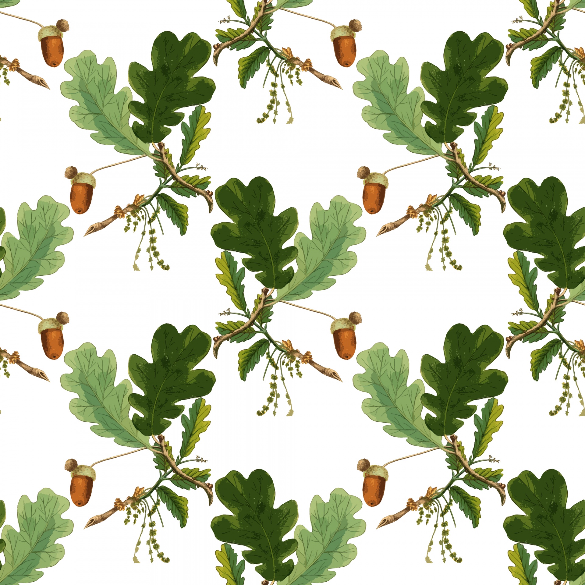 Acorn Oak Leaves Background
