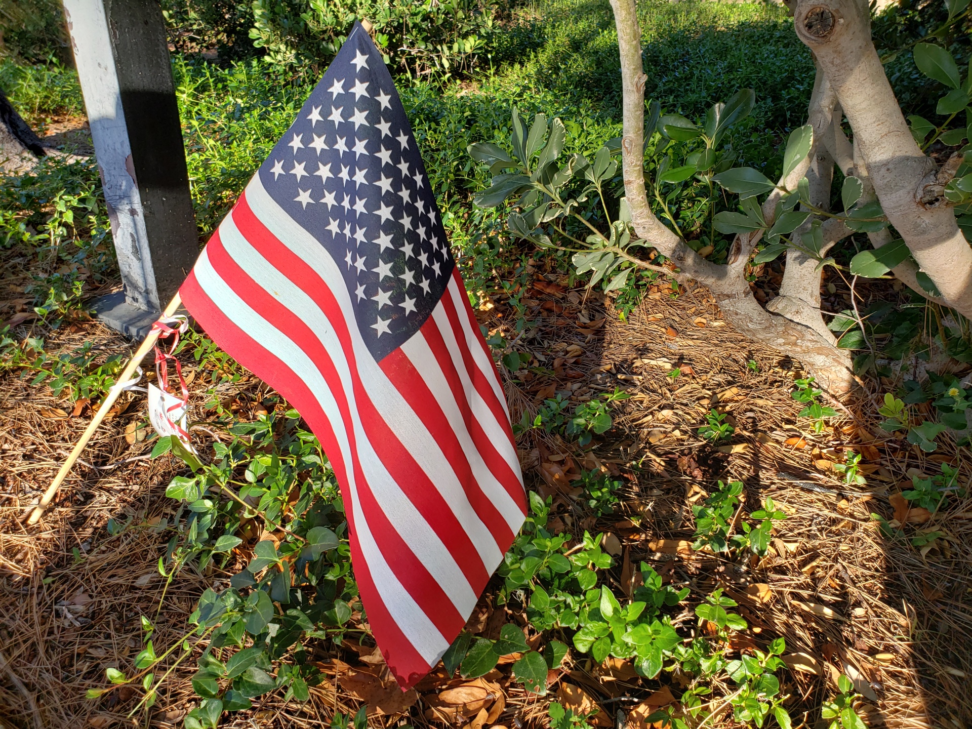 Americká vlajka zahrada