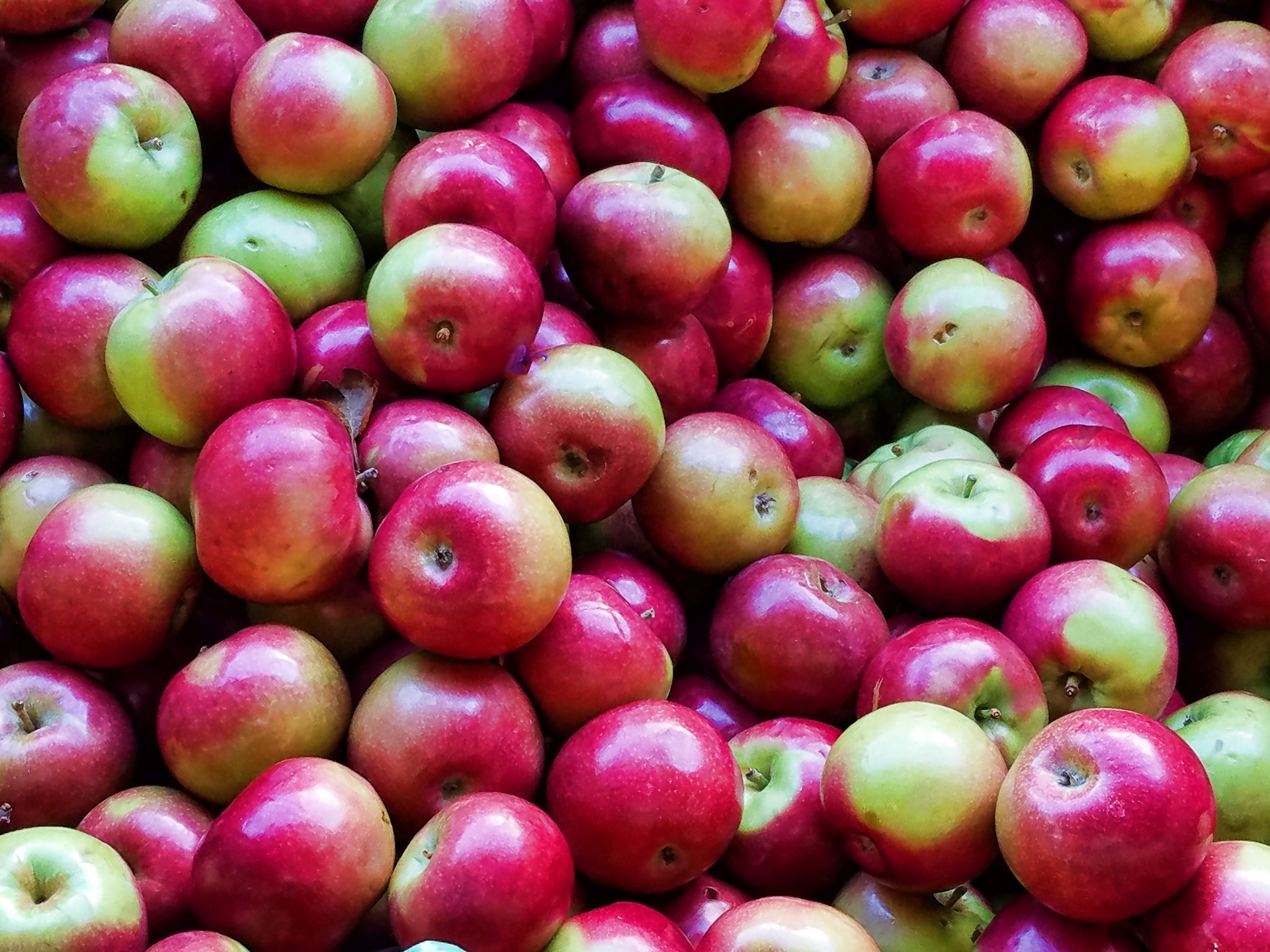 Äpplen bakgrund