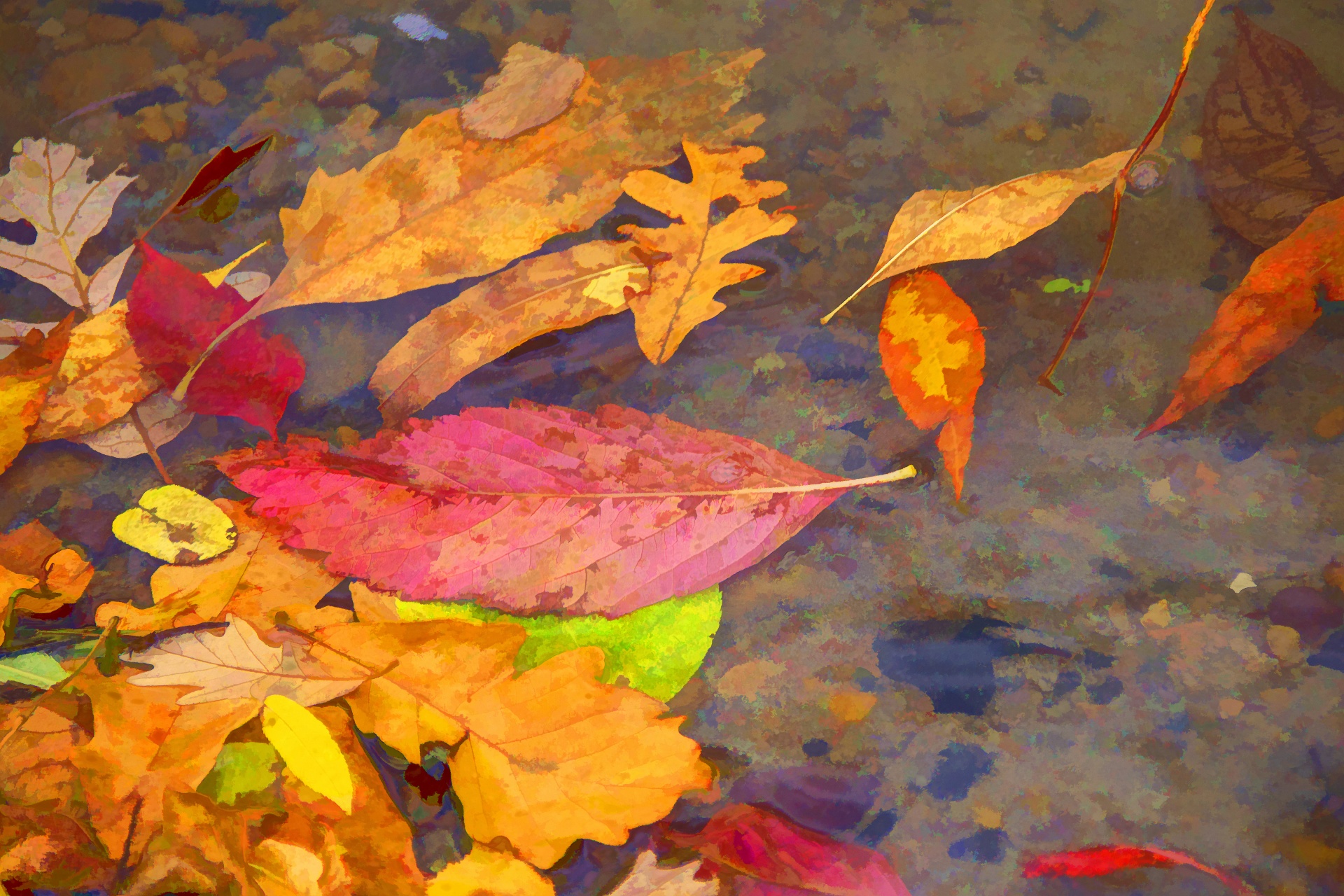 Hojas de otoño en el agua